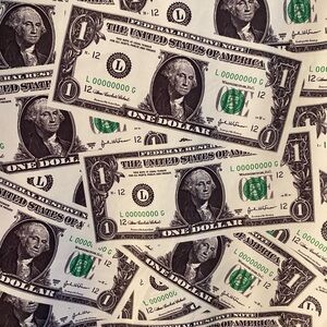 Money Print Windbreaker